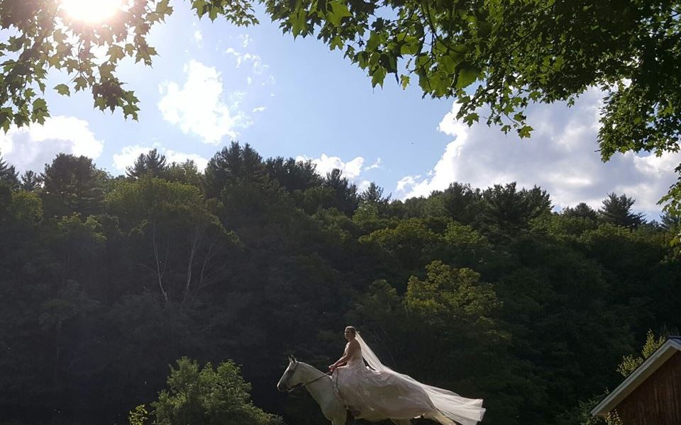 A bride in a white gown with a long veil riding a white horse, on a sunny day