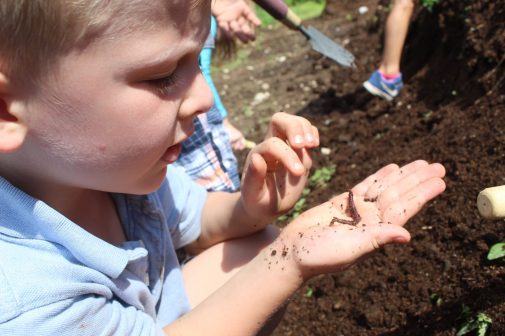 little boy with a worm from the garden