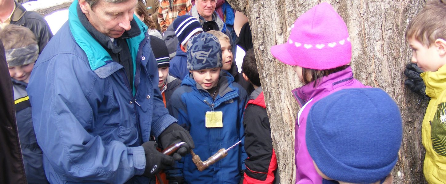 an adult showing kids how to tap a maple tree for syrup