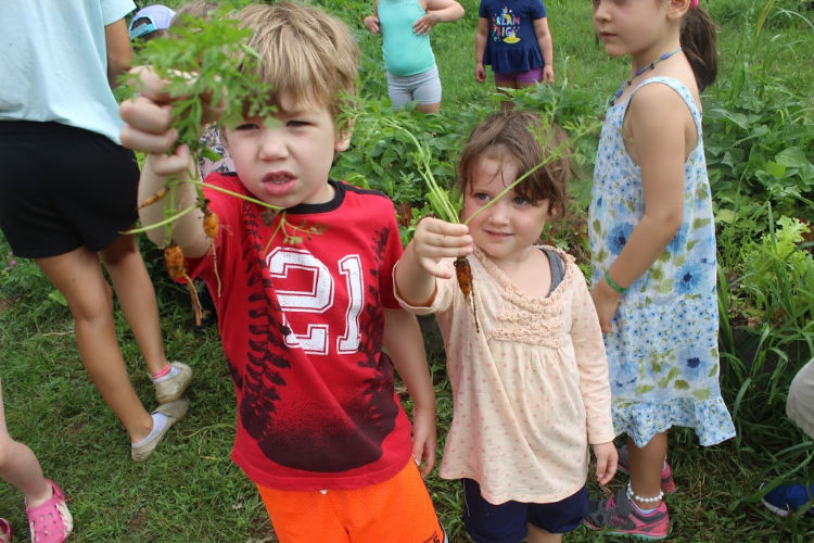 Two kids holding up tiny carrots that they harvested