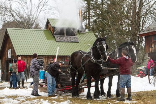 Public Events - Stonewall Farm