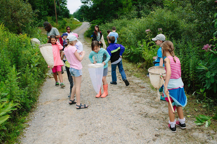 campers catching bugs