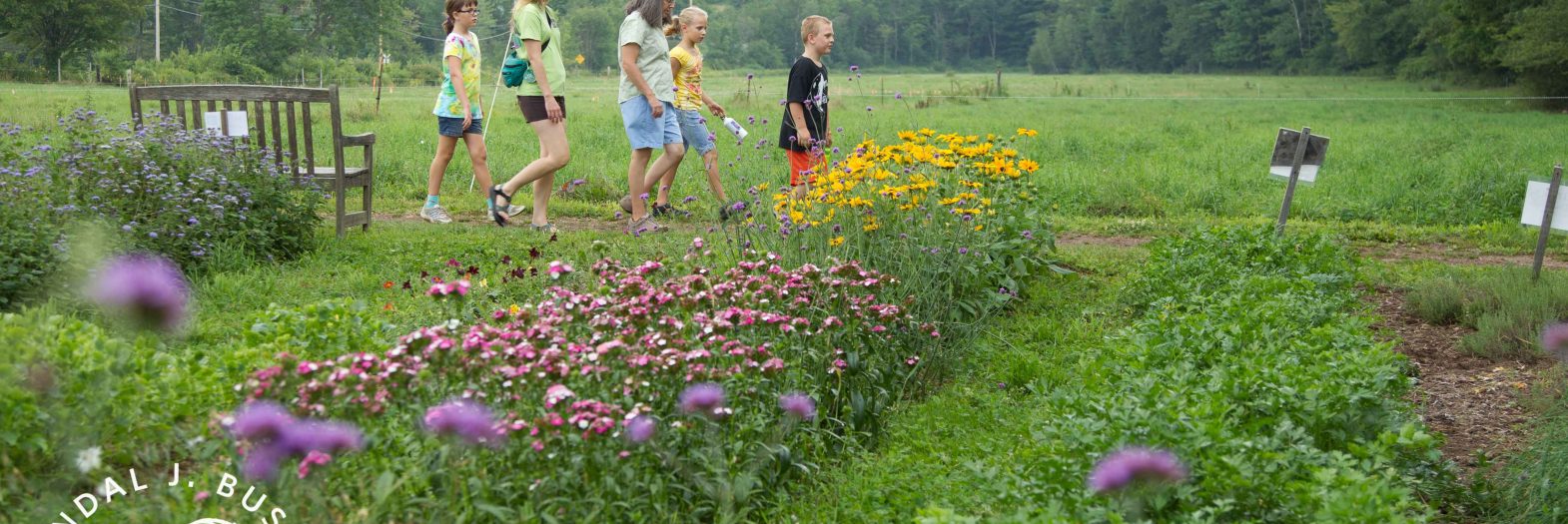 Kids touring the farm