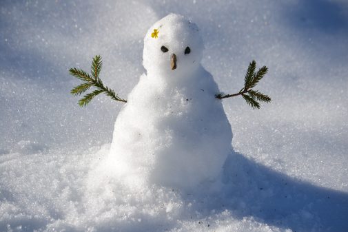 mini snowman
