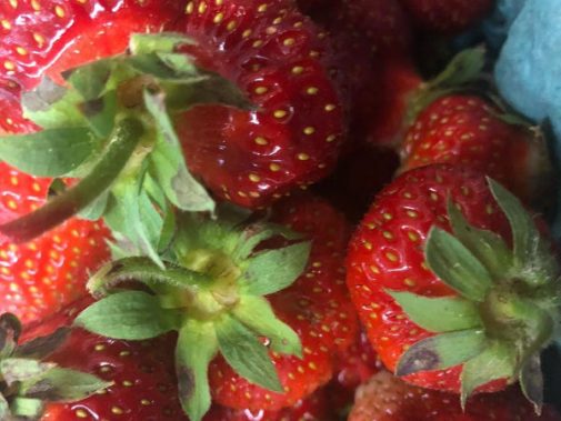 strawberries